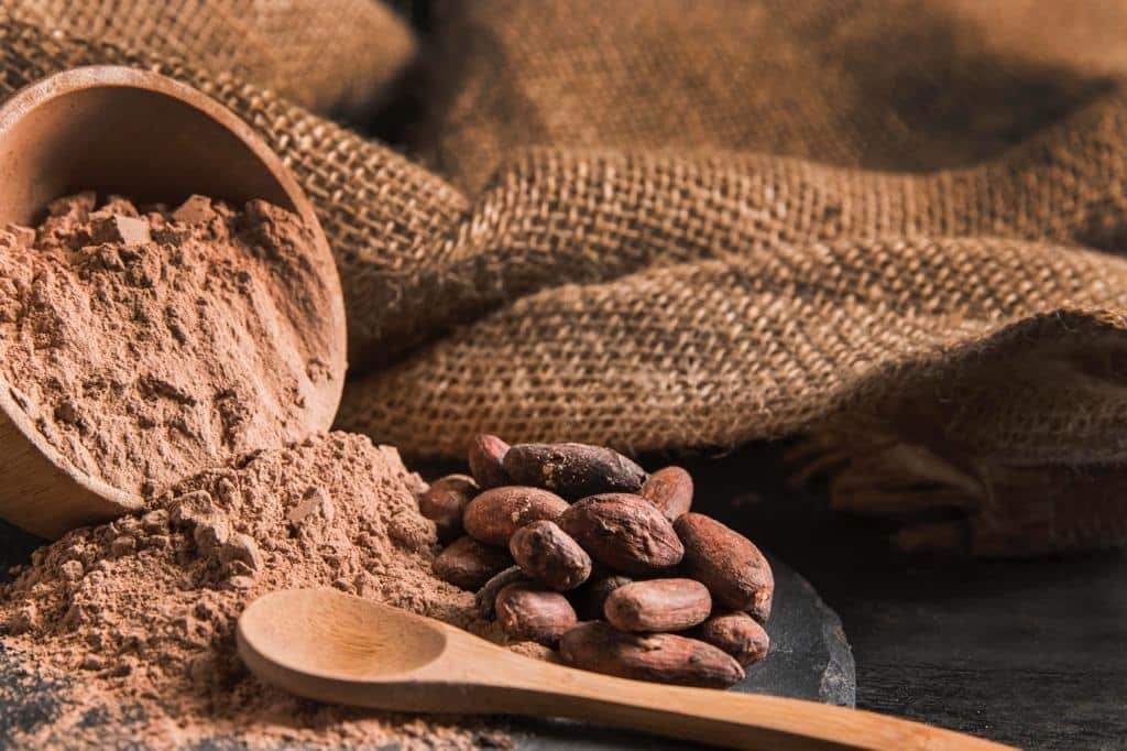 Cacao_-_chocolate_3 (1)