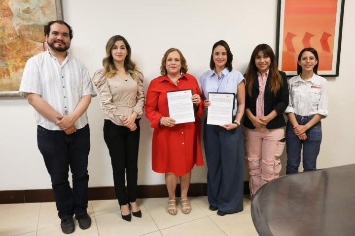 colaboración entre cultura y medio ambiente (1)