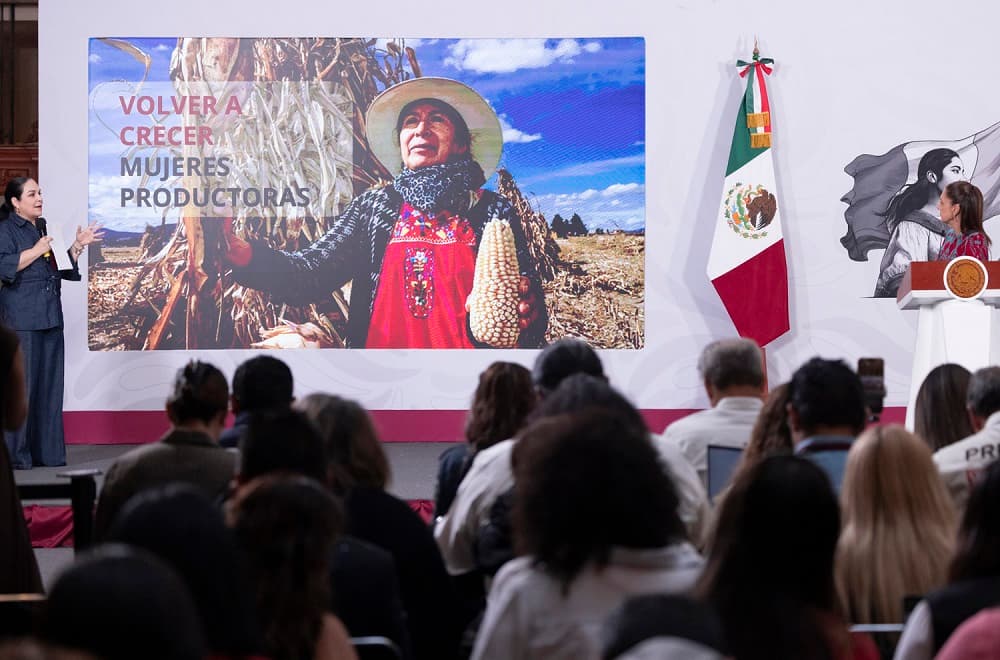 creditos condonados (1)