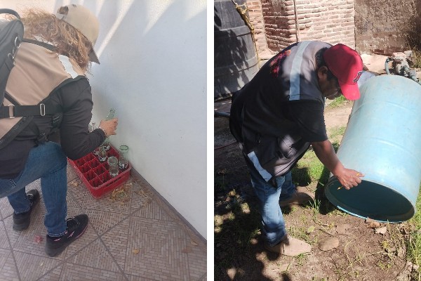 dengue acciones salud sonora