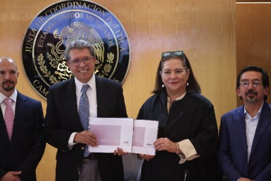ine elección judicial