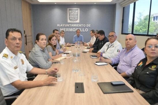 seguridad fiestas pitic 2026