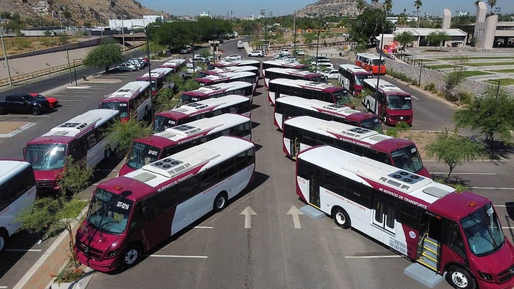 transporte público gratuito por las fiestas del Pitic (1)