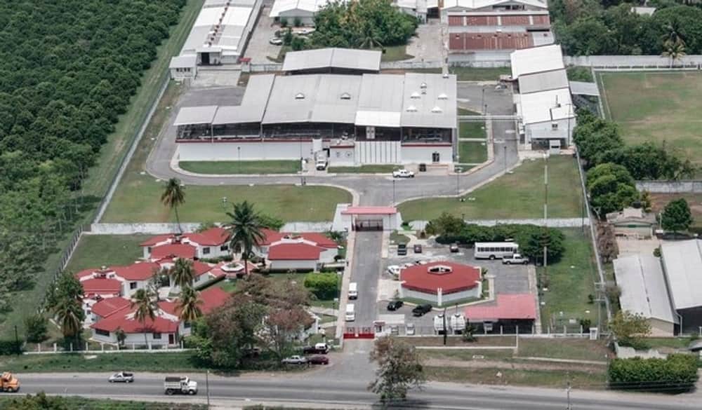 Planta productora de moscas contra gusano barrenador será inaugurada en junio
