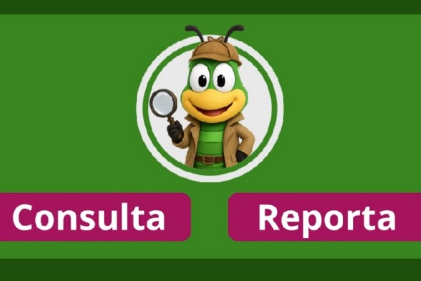 consulta reporta