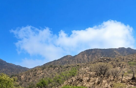 control de incendio forestal en Arivechi.. (1)