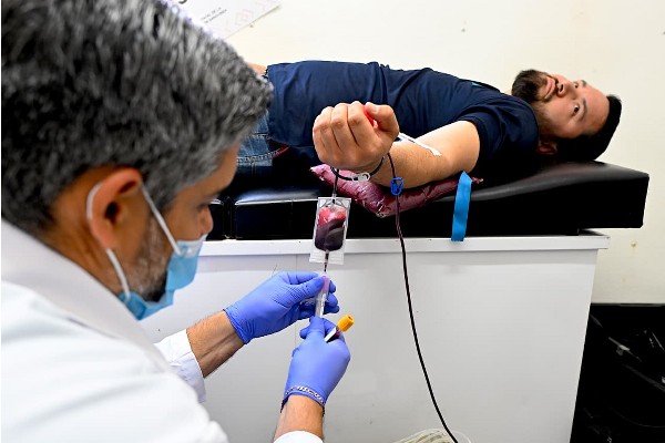 donacion sangre