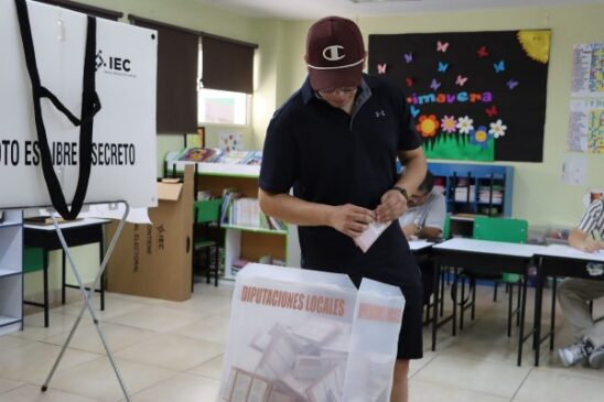 eleccion diputados