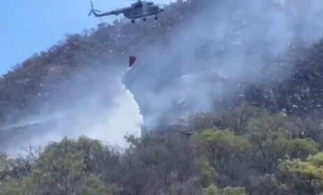 Alcanza CEPC 70% de control en incendio forestal de Arivechi