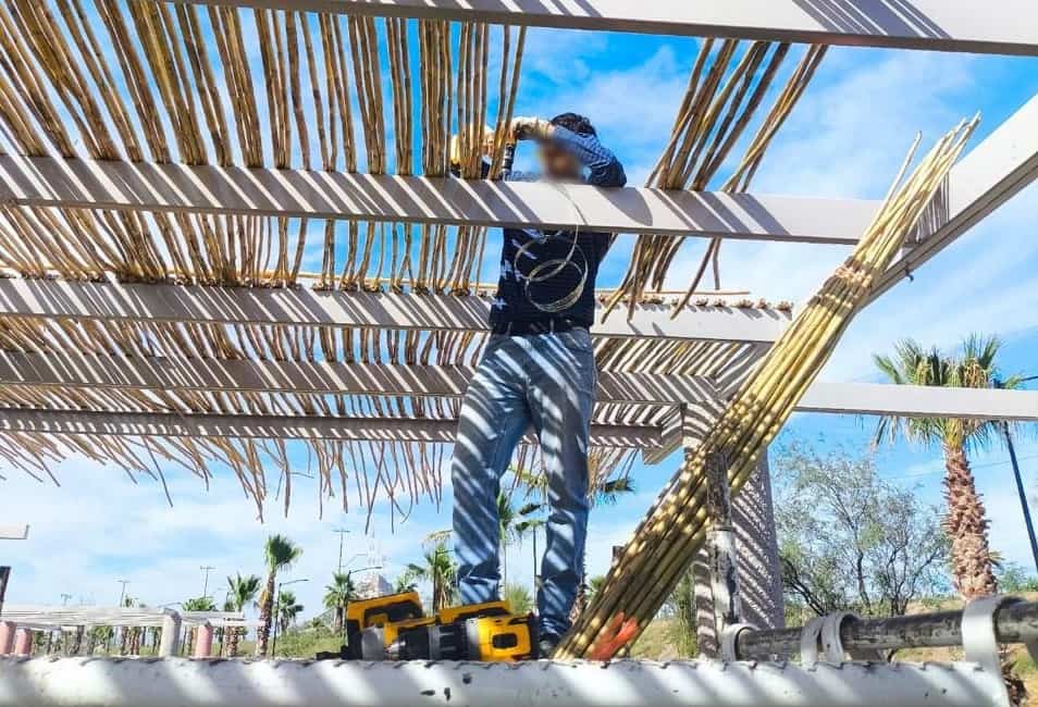 programa Reconecta con la Paz en Sonora realizan trabajo en beneficio de la comunidad (1)