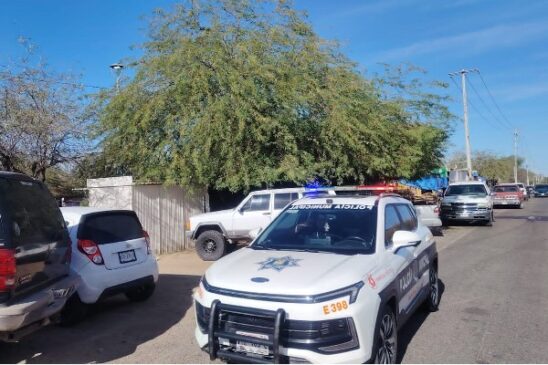 seguridad hmo