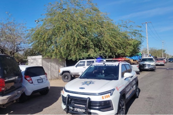 seguridad hmo