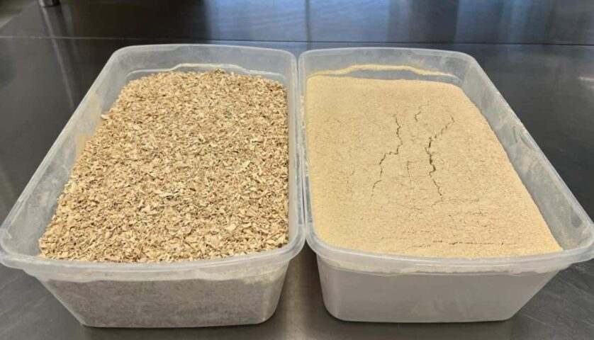 Investigador de la UES busca desarrollar empaques biodegradables antimicrobianos (1)