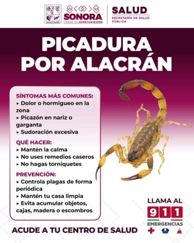 PICADURA DE ALACRÁN (1)