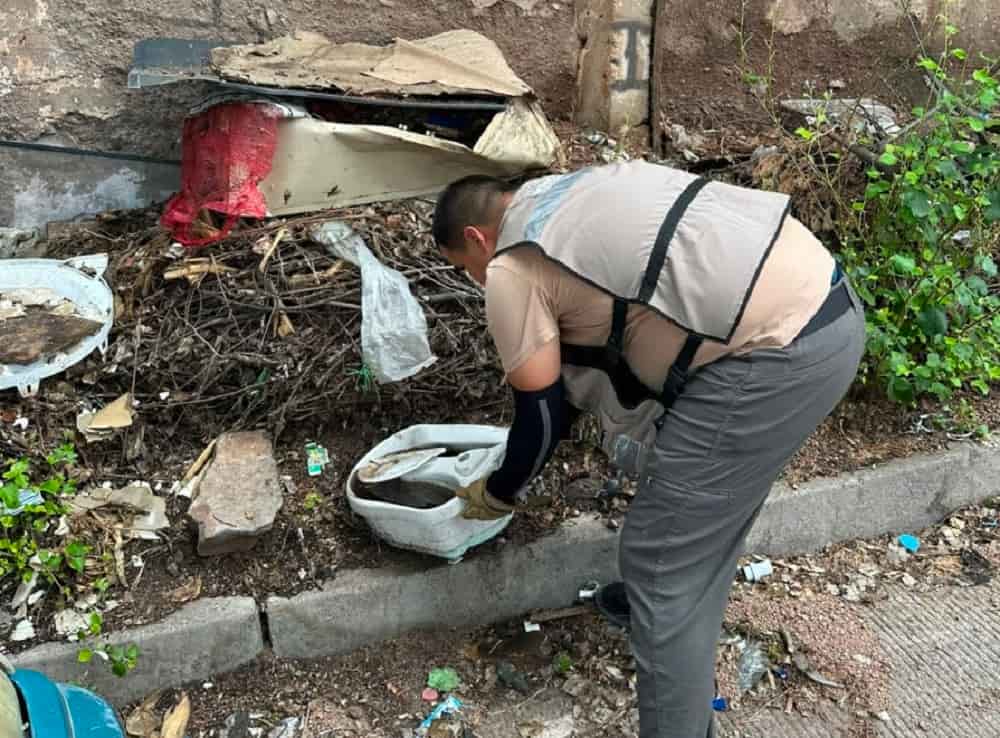 Refuerza Salud Sonora acciones en Nogales. (1)