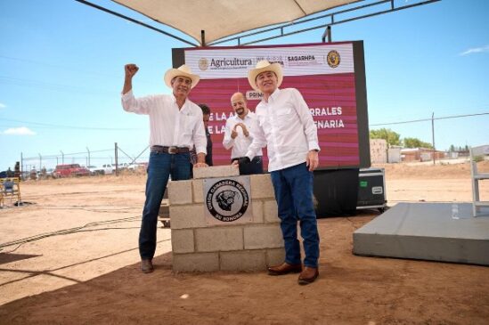 adm ganadería