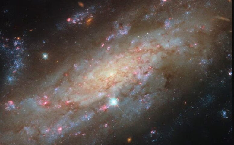 azucar en el espacio (1)