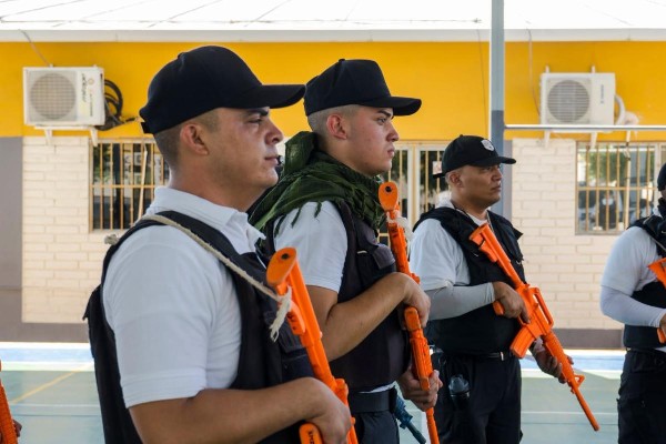cadetes usp formación