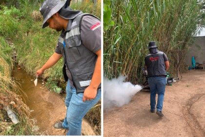 SSP exhorta a eliminar criaderos de mosquitos tras las lluvias registradas en el estado
