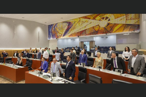 congreso pleno