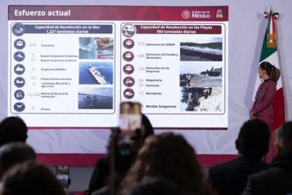 Se Destinan 2 mil mdp para atender tema del sargazo en Quintana Roo: Sheinbaum