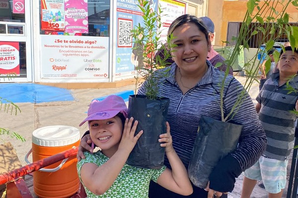 donacion arboles cajeme