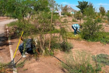 Gobierno de Sonora promueve  educación ambiental y la convivencia en La Sauceda