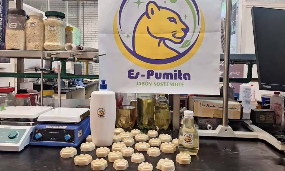 es pumita. jabon biodegradable sustentable.UNAM (1)