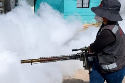 Patios y viviendas limpias; medida más efectiva contra el dengue;fumigación es complemento