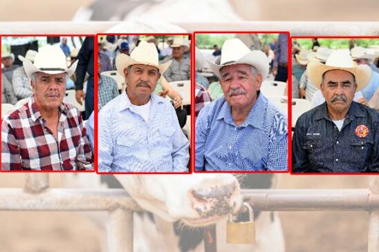 ganaderos