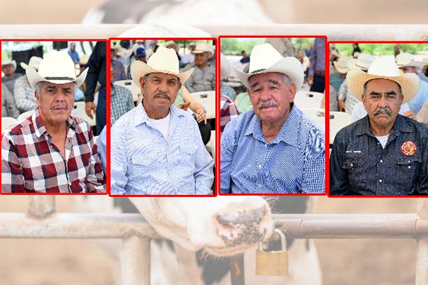 ganaderos