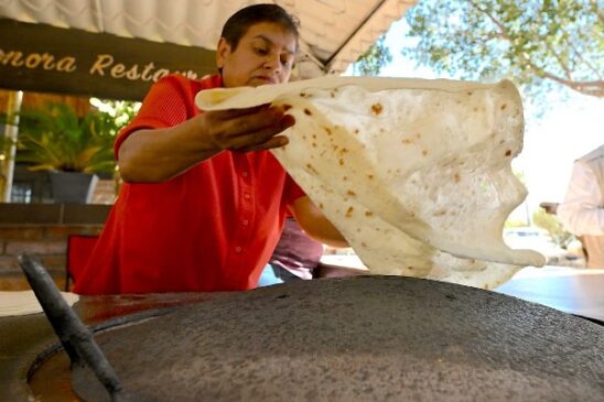 tortilla grande sonora