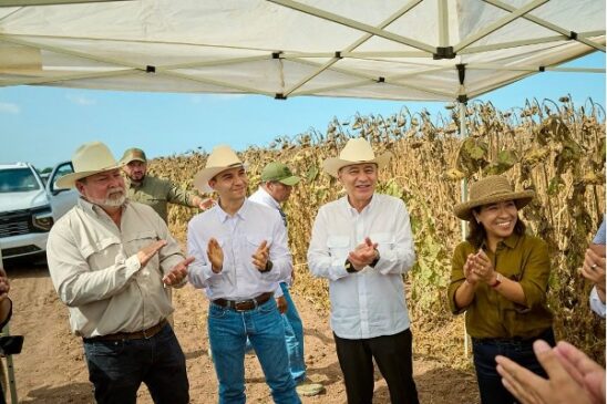 adm campo sonora