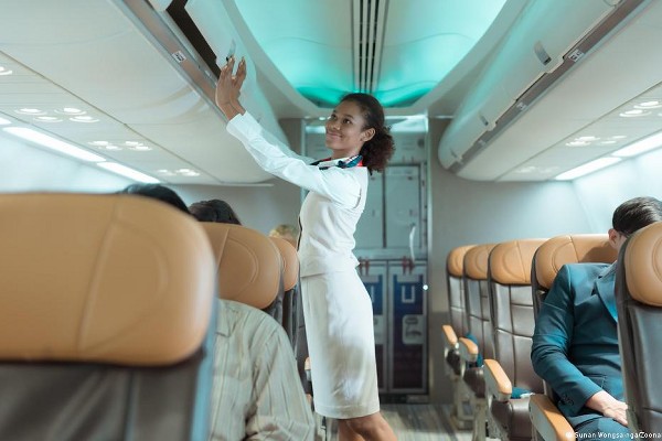 asistente de vuelo