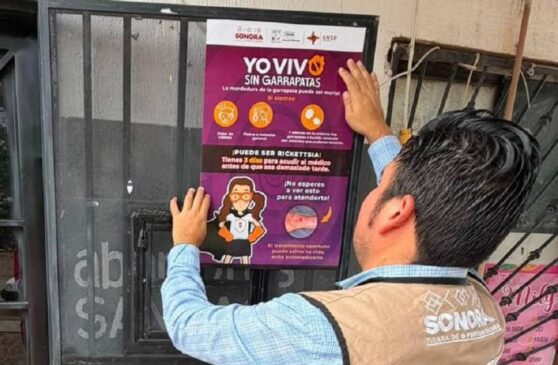 casa limpia es clave para eliminar la rickettsia (1)