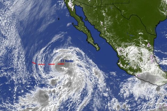 iselle