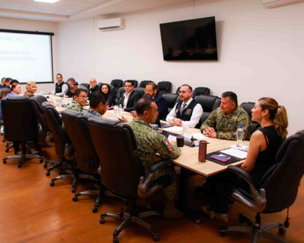 mesa de seguridad (1)
