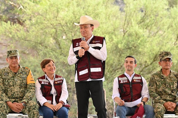 reforestacion cementera