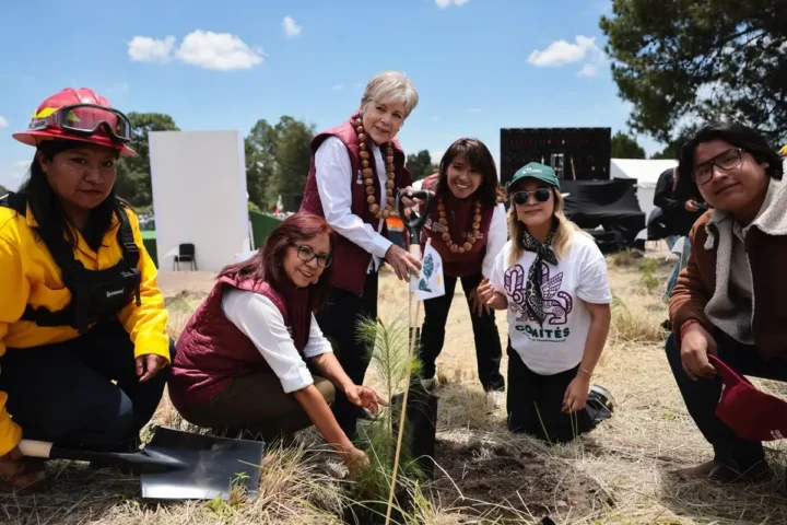 sheinbaum-arranco-en-puebla-la-jornada-nacional-de-reforestacion..
