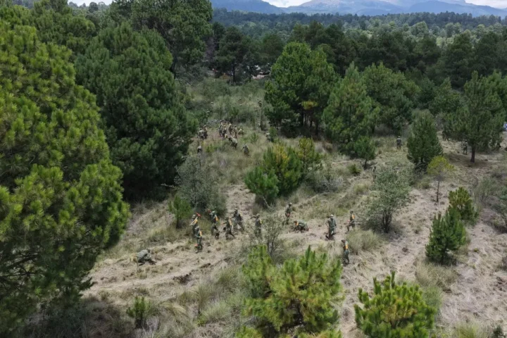 sheinbaum-arranco-en-puebla-la-jornada-nacional-de-reforestacion...