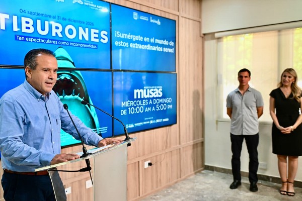 toño tiburones