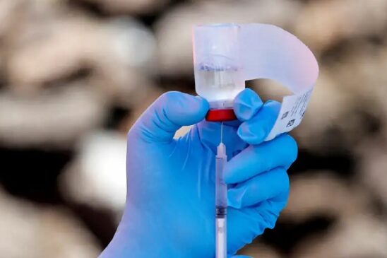 vacuna ebola variante zaire
