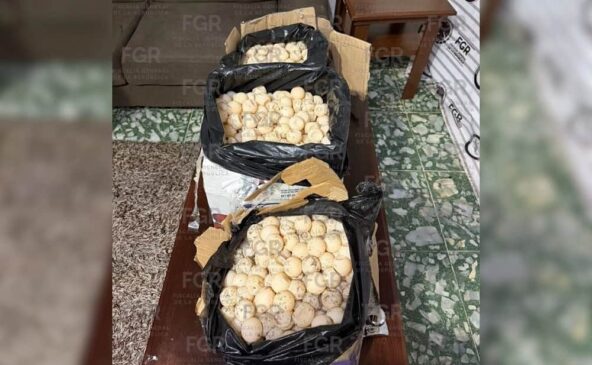Huevos de Tortuga (1)