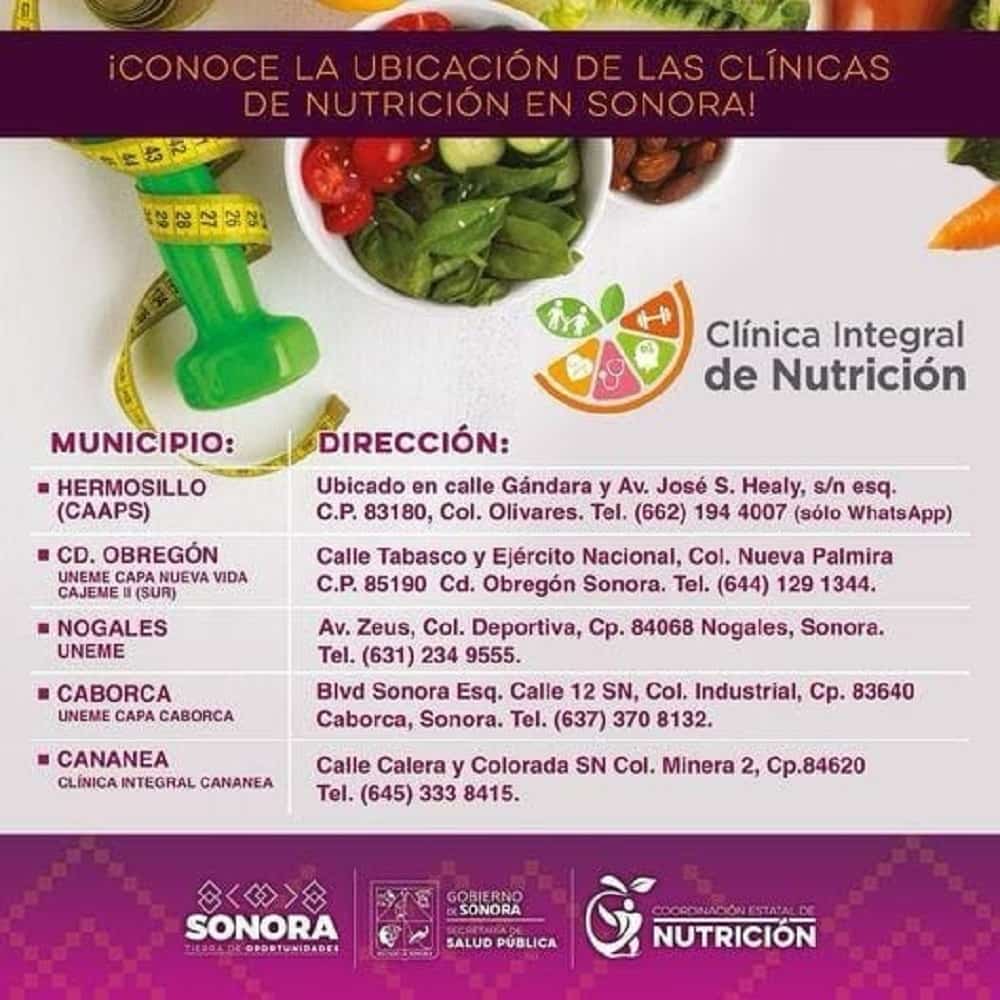 atención integral contra la obesidad para las familias (1)