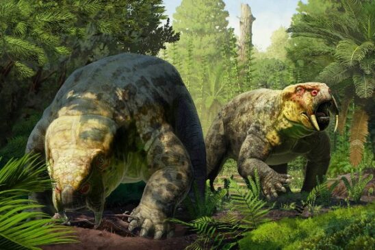 dino dontosaurus