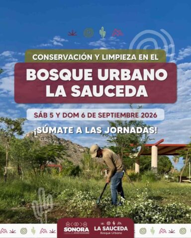 disfrutar un fin de semana de cultura y aprendizaje en el Bosque Urbano La Sauceda... (1)