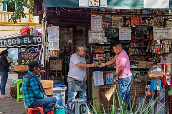 economia informal mx