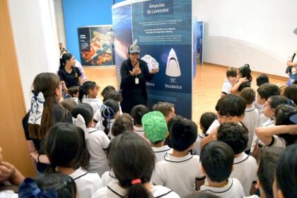 Supera exposición “TIBURONES” expectativas