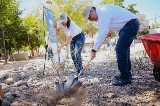 toño reforestacion