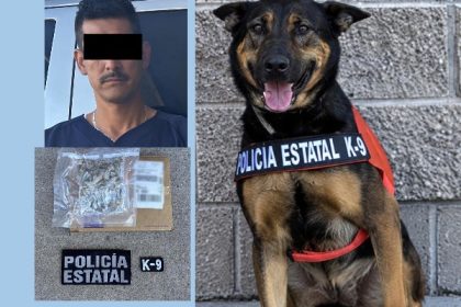 Unidad K9 de la PESP contribuye a la detección de narcóticos en Hermosillo